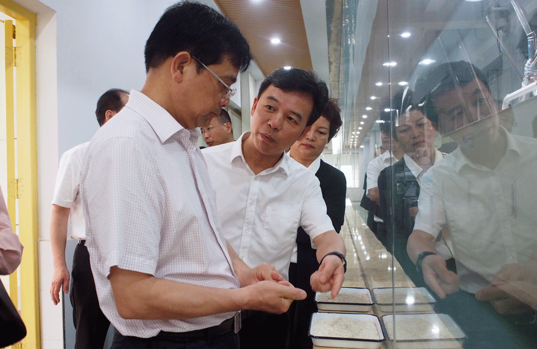朱水平调研金健米业——为开放强市、产业立市贡献金健力量(图2) 朱水平调研金健米业——为开放强市、产业立市贡献金健力量(图2)